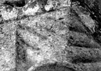 files/capitals/SANTEU-P/thumbs/SANTEU-P 062.jpg